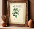 Framed art print of an illustration of a birch branch with a boxed quote