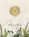 Illustration of the "half herb," showing sun and herbs, a print in an art book on herbs.