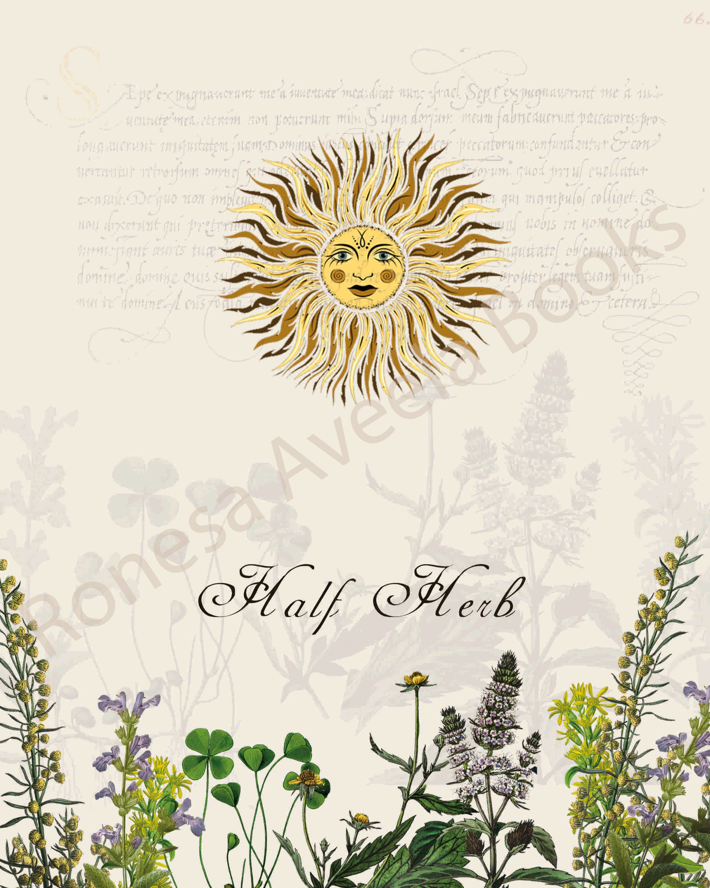Illustration of the "half herb," showing sun and herbs, a print in an art book on herbs.