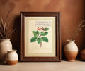 Framed art print of an illustration of a hathorn branch with a boxed quote