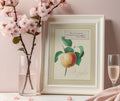 Framed art print of an illustration of a red apple with a boxed quote