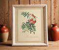 Framed art print of an illustration of a rowan branch