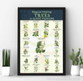 Framed poster with the 21 trees from "Magical Healing Trees in Slavic Folklore"